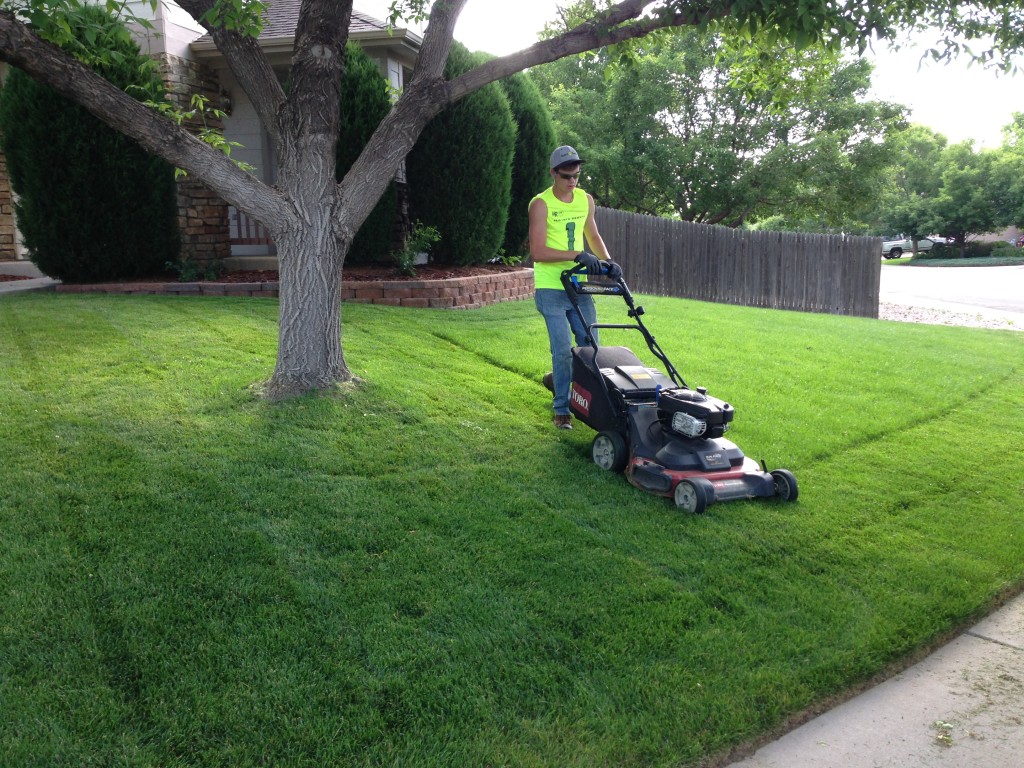 best-lawn-care-service-and-cost-in-omaha-ne-handyman-services-of-omaha