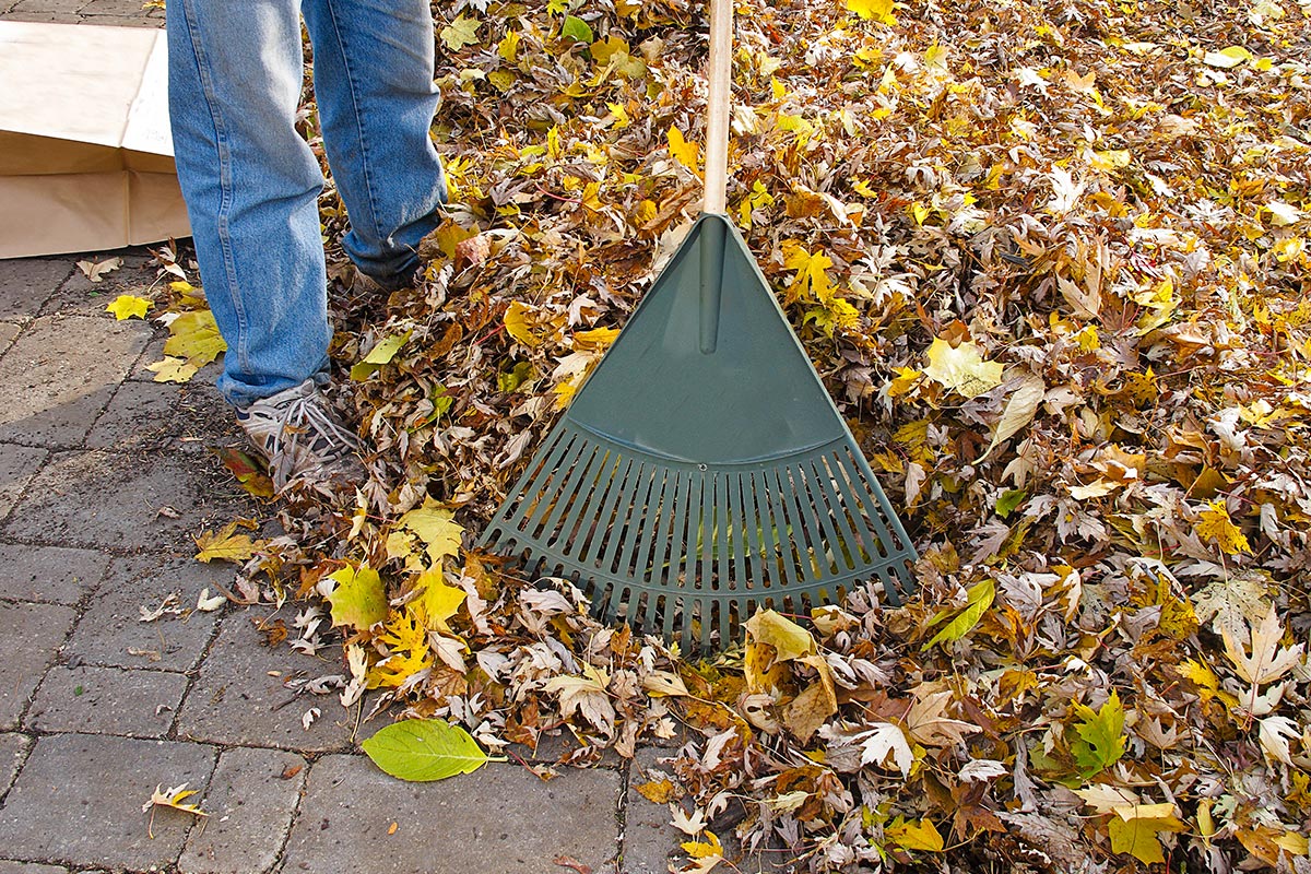 Best Yard Waste Removal Services and Cost in Omaha NE Handyman